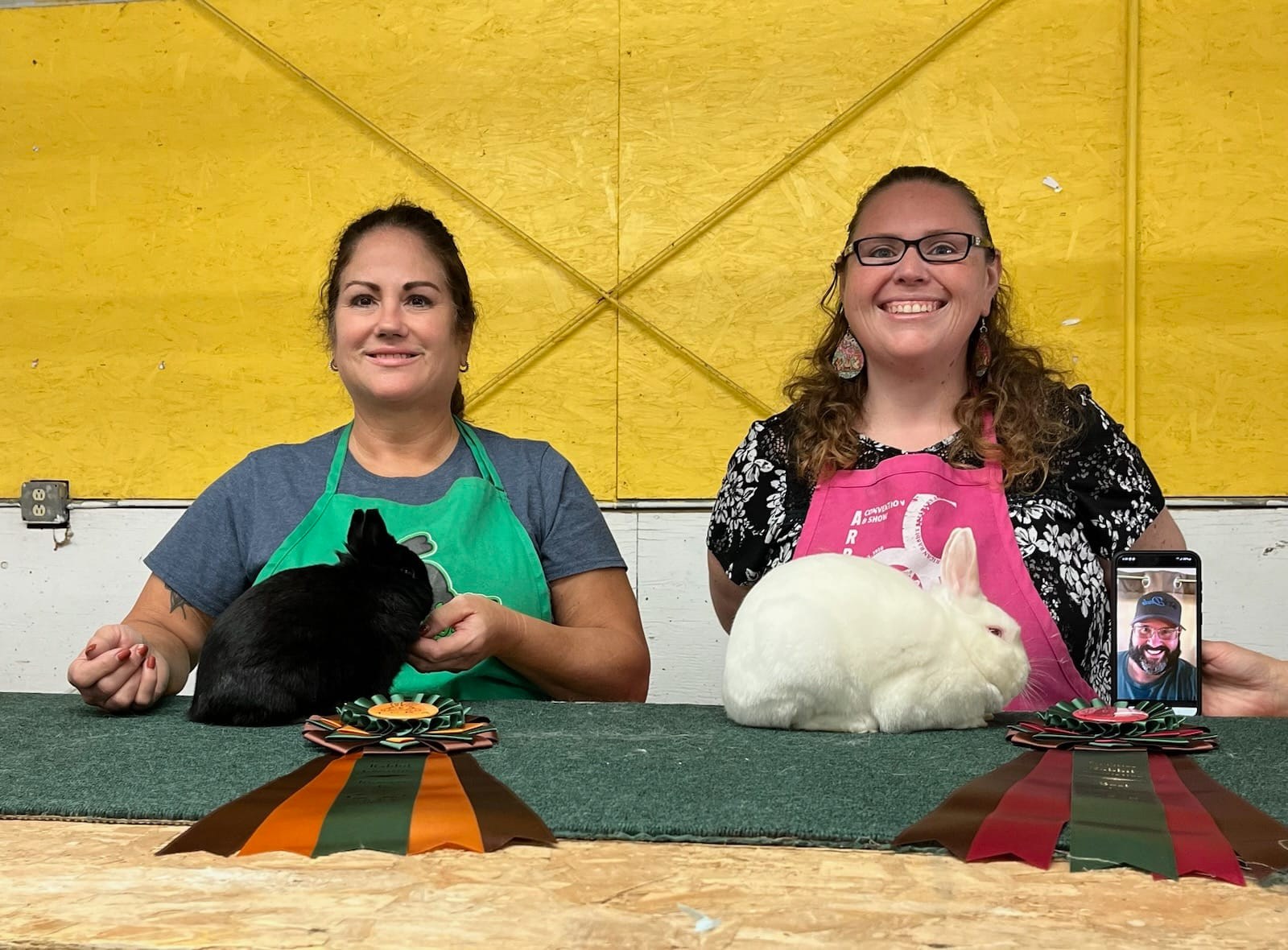 TCRA Fall Shows Results 2024 – Washington State Rabbit Breeders Association